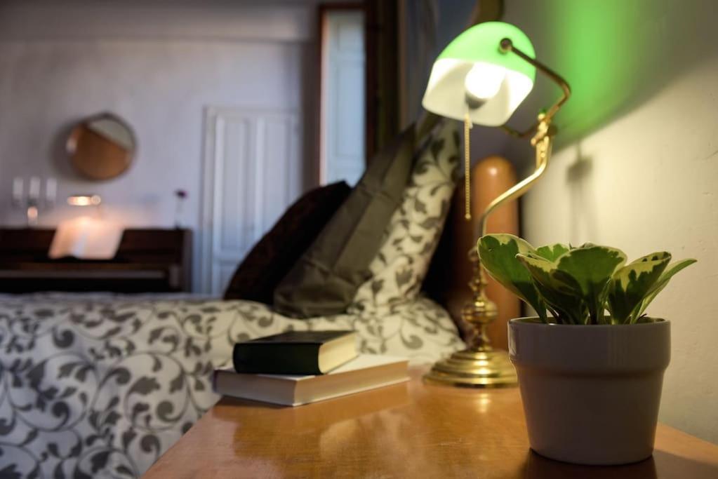 Cozy Apartment With Private Garden - City Center - 佛罗伦萨 外观 照片